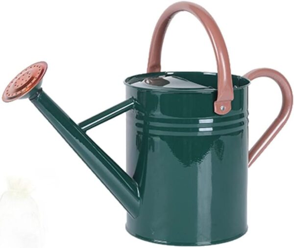 Metal Watering Can for Outdoor and Indoor Plants, Watering Can Decor, 1 Gallon