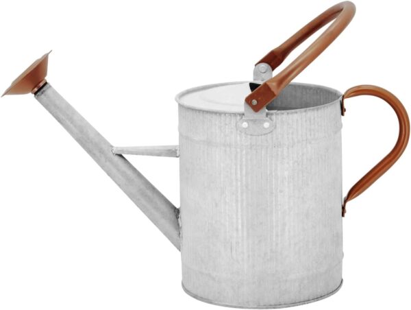 1 Gallon Watering Can, Farmhouse Watering Can, Metal Watering Can with Removable Spout, Galvanized Watering Can, Perfect Plant Watering Can for Indoor Use and for Outdoor Use - Image 2