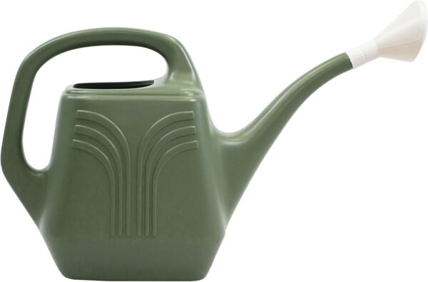 Promo Watering Can: 2 Gallon Capacity -  Durable Resin, Removable Nozzle Spout, Two Handles, Wide Mouth, for Indoor and Outdoor Use, Gardening