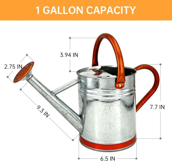 Metal Watering Can for Outdoor Plants, Galvanized Steel Watering Can with Removable spout, 1 Gallon,Perfect Home & Garden Décor Retro Zinc Hue - Image 2