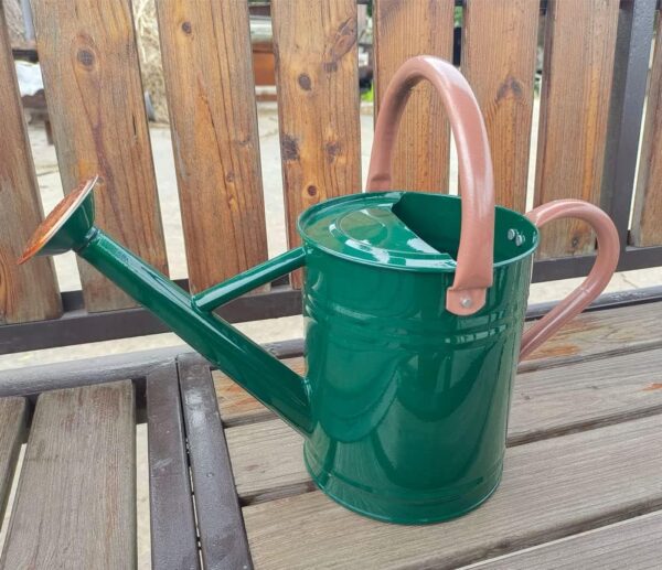 Metal Watering Can for Outdoor and Indoor Plants, Watering Can Decor, 1 Gallon - Image 2