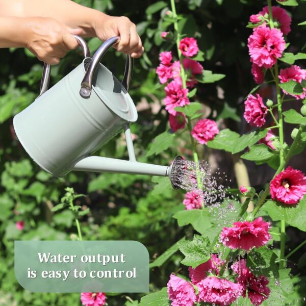 Watering Can for Outdoor Plants and Indoor Plants,1 Gallon Metal Watering Can for Garden Flower,Galvanized Steel Metal Water Can Watering Pot with Sprinkler Head - Image 2