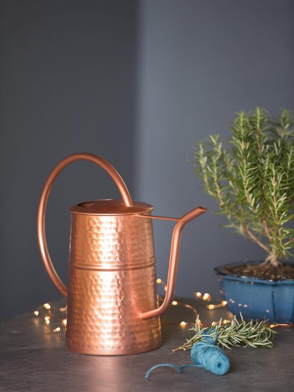 Copper Plated Indoor Watering Can | 3 Quart Water Capacity, Decorative Copper-Plated Steel with Easy Pour Curved Spout for Houseplants, Succulents, Seeds, and Herbs - Image 2